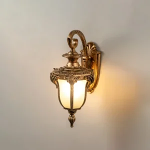 Stainless Steel Outdoor Wall Light with Glass Shade, Antique Bronze Finish